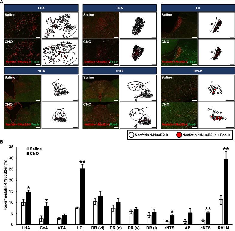 https://cdn.ncbi.nlm.nih.gov/pmc/blobs/8713/10717637/7ad895a1beff/12576_2021_802_Fig3_HTML.jpg