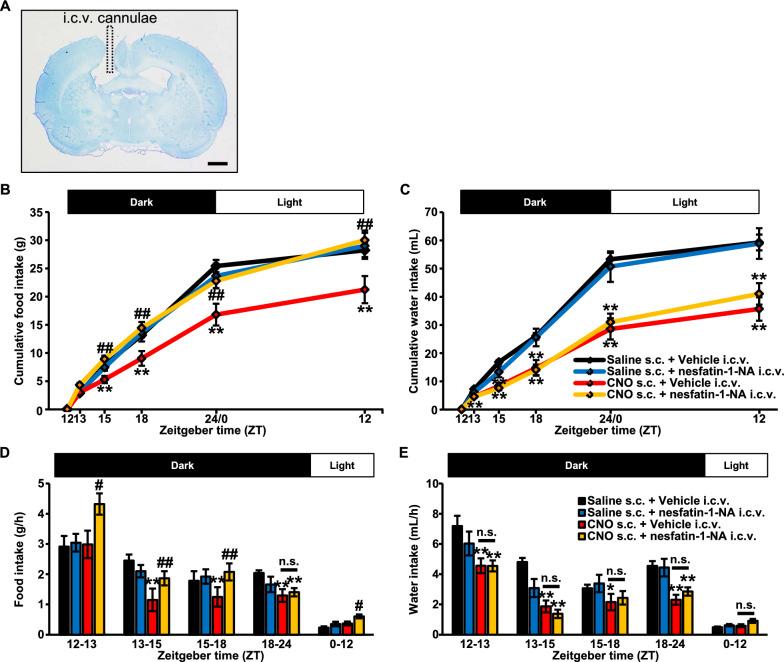 https://cdn.ncbi.nlm.nih.gov/pmc/blobs/8713/10717637/9b79982990b4/12576_2021_802_Fig4_HTML.jpg
