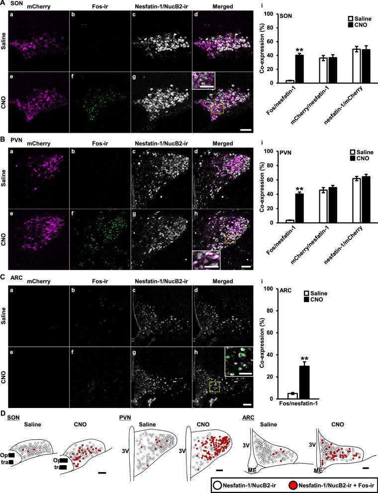 https://cdn.ncbi.nlm.nih.gov/pmc/blobs/8713/10717637/b63f299cc3a4/12576_2021_802_Fig2_HTML.jpg