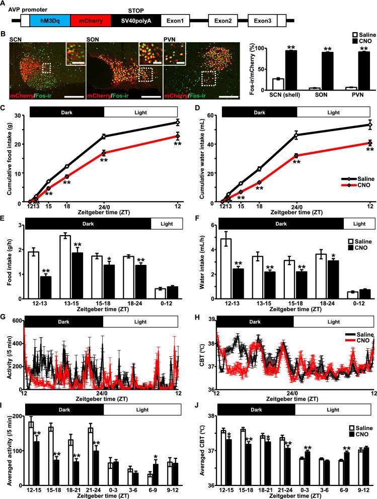https://cdn.ncbi.nlm.nih.gov/pmc/blobs/8713/10717637/e6d7d002d286/12576_2021_802_Fig1_HTML.jpg
