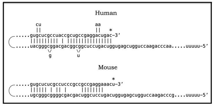 https://cdn.ncbi.nlm.nih.gov/pmc/blobs/8714/12073115/817c92c6e866/ijms-26-04252-g005.jpg
