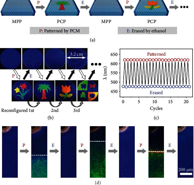 https://cdn.ncbi.nlm.nih.gov/pmc/blobs/8715/9343078/d20560579068/RESEARCH2022-9838071.004.jpg