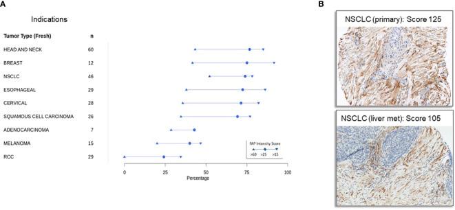 https://cdn.ncbi.nlm.nih.gov/pmc/blobs/8716/10981271/cce9d0feedd7/fimmu-15-1352615-g002.jpg