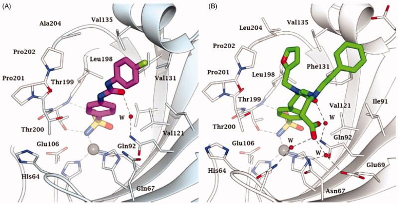 https://cdn.ncbi.nlm.nih.gov/pmc/blobs/8716/7901698/81379391c937/IENZ_A_1882453_F0005_C.jpg