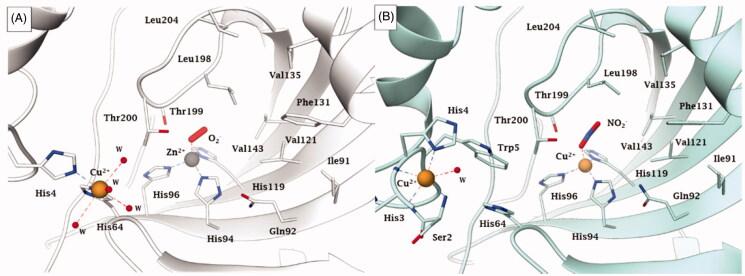 https://cdn.ncbi.nlm.nih.gov/pmc/blobs/8716/7901698/dfdbcb466328/IENZ_A_1882453_F0004_C.jpg