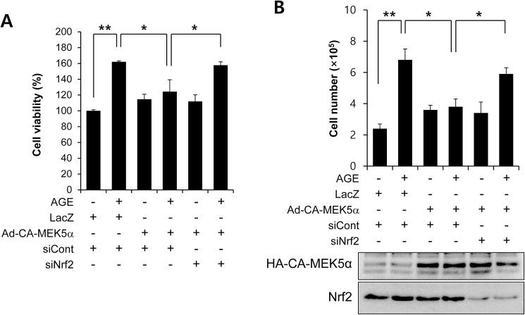 https://cdn.ncbi.nlm.nih.gov/pmc/blobs/871b/5439952/f8b968813819/pone.0178278.g004.jpg