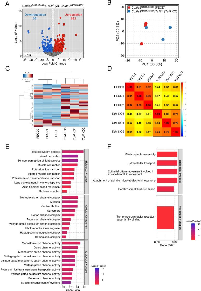 https://cdn.ncbi.nlm.nih.gov/pmc/blobs/871c/11984510/e867f0a26583/iovs-66-4-19-f002.jpg