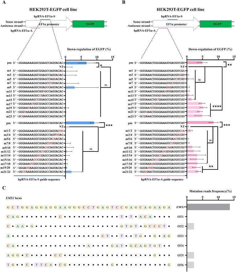 https://cdn.ncbi.nlm.nih.gov/pmc/blobs/871c/12311783/e715ea1d9222/gkaf723fig5.jpg