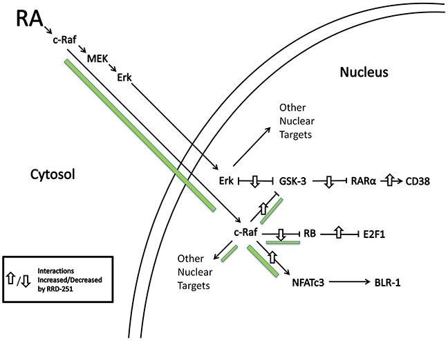 https://cdn.ncbi.nlm.nih.gov/pmc/blobs/871c/5216806/188f25c4ca0f/oncotarget-07-46401-g008.jpg