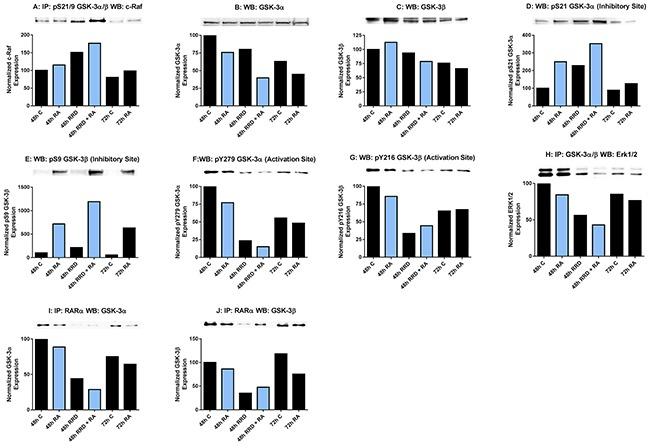 https://cdn.ncbi.nlm.nih.gov/pmc/blobs/871c/5216806/1f6660dcf6b0/oncotarget-07-46401-g006.jpg