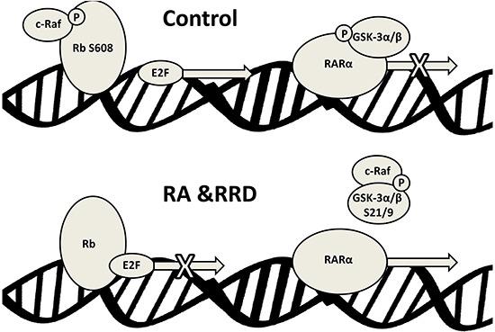 https://cdn.ncbi.nlm.nih.gov/pmc/blobs/871c/5216806/d20deca1d050/oncotarget-07-46401-g009.jpg
