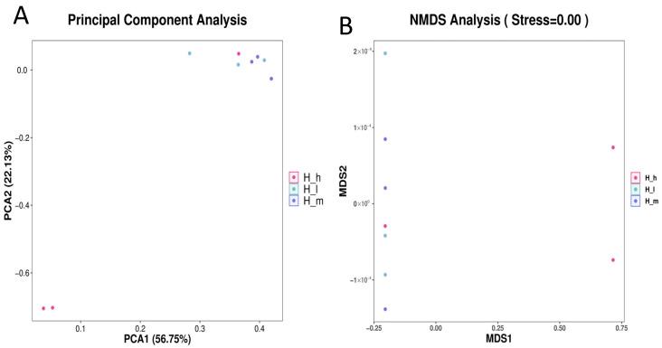 https://cdn.ncbi.nlm.nih.gov/pmc/blobs/871d/12298320/d4a41910684f/microorganisms-13-01560-g001.jpg