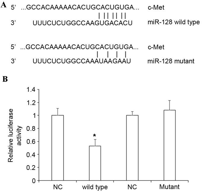 https://cdn.ncbi.nlm.nih.gov/pmc/blobs/871d/5590046/2d50c767e311/etm-14-04-2751-g02.jpg