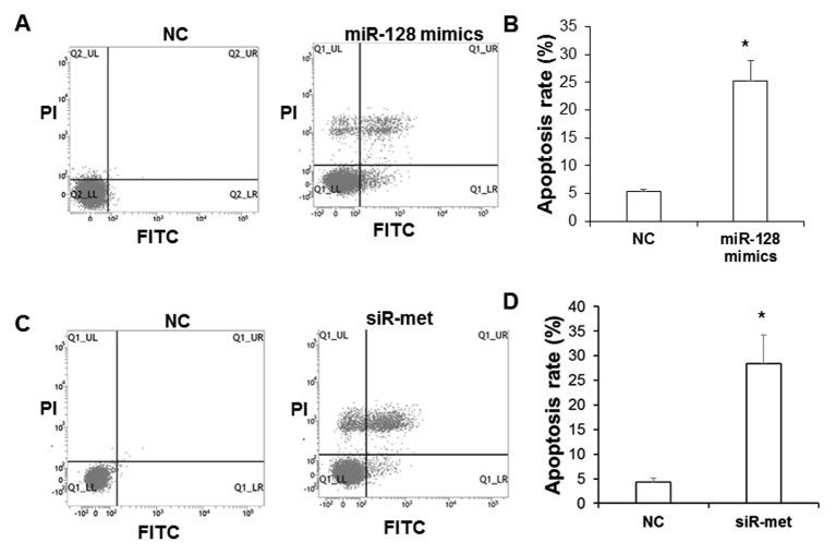 https://cdn.ncbi.nlm.nih.gov/pmc/blobs/871d/5590046/767153c0dc93/etm-14-04-2751-g03.jpg