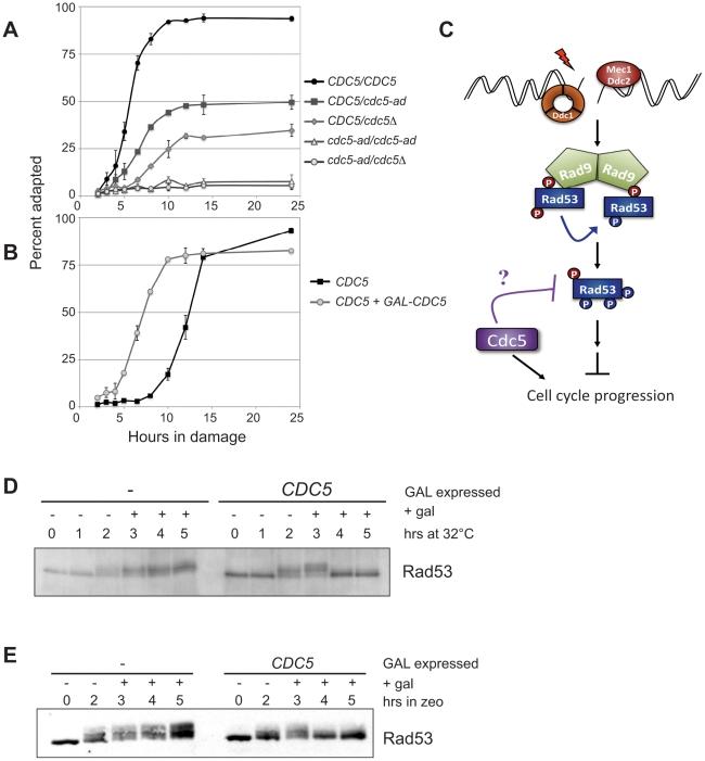 https://cdn.ncbi.nlm.nih.gov/pmc/blobs/871f/2811153/23ec5b600941/pbio.1000286.g001.jpg