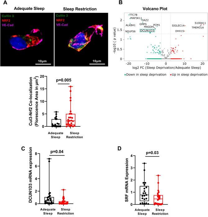 https://cdn.ncbi.nlm.nih.gov/pmc/blobs/8720/10505226/589e2f6ad850/41598_2023_42758_Fig2_HTML.jpg