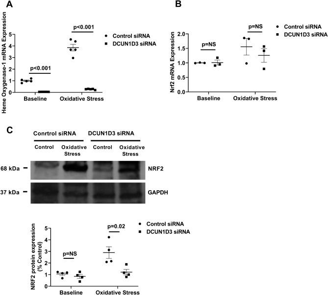 https://cdn.ncbi.nlm.nih.gov/pmc/blobs/8720/10505226/f733eaf9564c/41598_2023_42758_Fig3_HTML.jpg