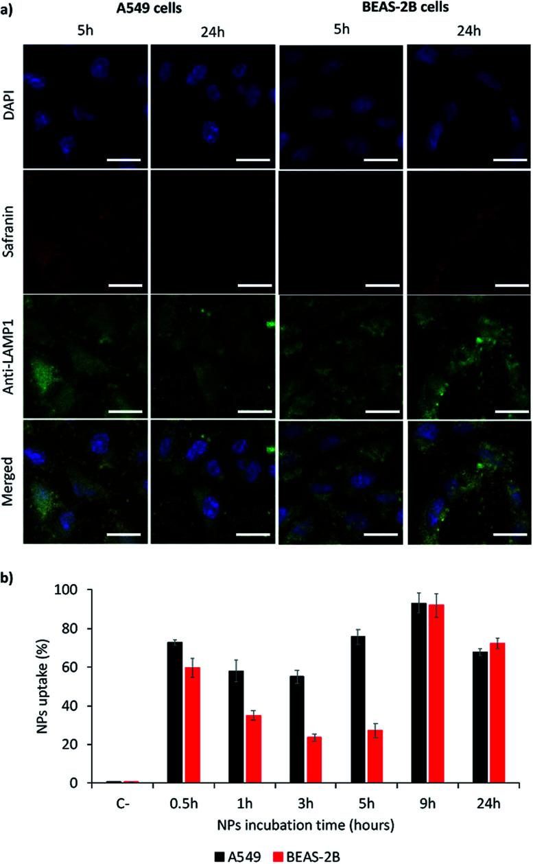 https://cdn.ncbi.nlm.nih.gov/pmc/blobs/8720/9055533/2978be7353e1/d0ra03210g-f5.jpg