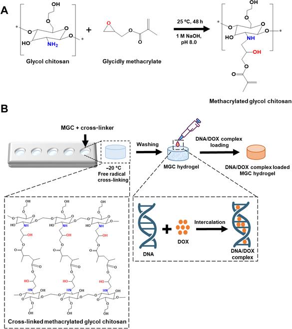 https://cdn.ncbi.nlm.nih.gov/pmc/blobs/8721/10964224/19fd06379918/bmr.0008.fig.001.jpg