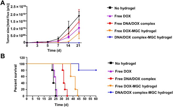 https://cdn.ncbi.nlm.nih.gov/pmc/blobs/8721/10964224/ad246732724f/bmr.0008.fig.008.jpg