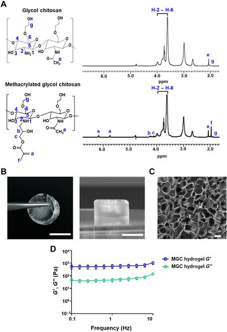 https://cdn.ncbi.nlm.nih.gov/pmc/blobs/8721/10964224/e221723daa2a/bmr.0008.fig.002.jpg