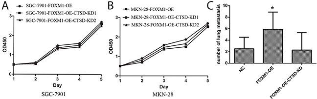 https://cdn.ncbi.nlm.nih.gov/pmc/blobs/8721/5620247/a799e803c176/oncotarget-08-68180-g008.jpg
