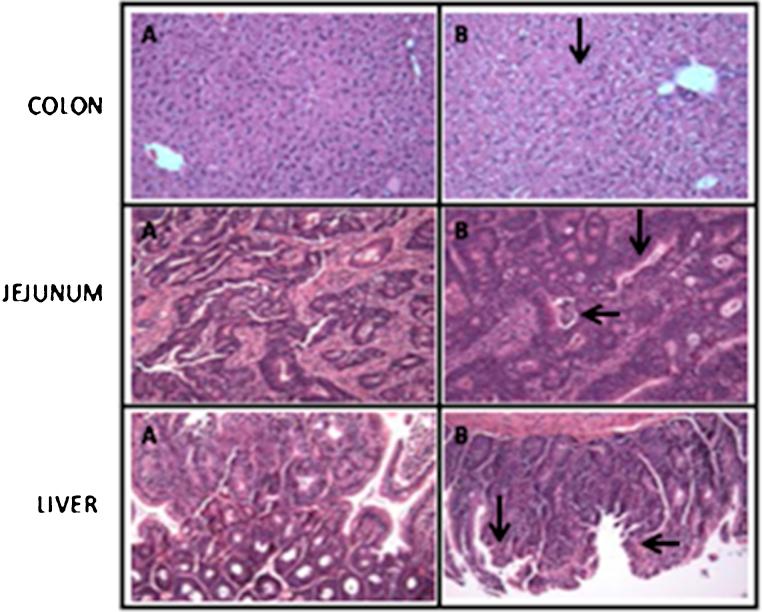 https://cdn.ncbi.nlm.nih.gov/pmc/blobs/8726/5616019/35695ca811fb/gr6.jpg