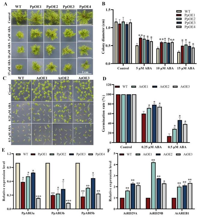 https://cdn.ncbi.nlm.nih.gov/pmc/blobs/8727/12036268/e51cd80b0503/12870_2025_6578_Fig4_HTML.jpg