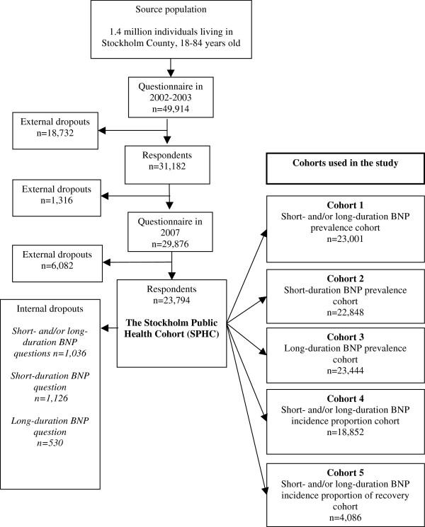 https://cdn.ncbi.nlm.nih.gov/pmc/blobs/8727/3517780/69da093e1f6a/1471-2474-13-185-1.jpg
