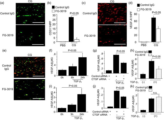 https://cdn.ncbi.nlm.nih.gov/pmc/blobs/8727/5511333/0e6c83735f00/41598_2017_5624_Fig8_HTML.jpg