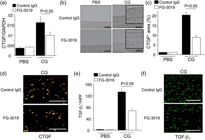 https://cdn.ncbi.nlm.nih.gov/pmc/blobs/8727/5511333/f941d7a239cc/41598_2017_5624_Fig4_HTML.jpg
