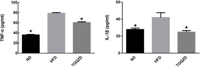https://cdn.ncbi.nlm.nih.gov/pmc/blobs/8727/9108379/6524b442c121/fphar-13-851267-g004.jpg