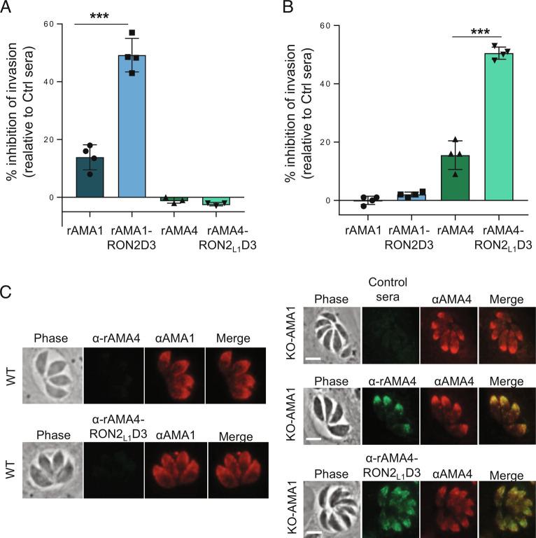 https://cdn.ncbi.nlm.nih.gov/pmc/blobs/8728/9945962/aa092e888965/pnas.2219533120fig05.jpg