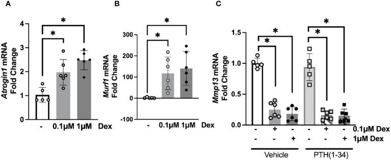 https://cdn.ncbi.nlm.nih.gov/pmc/blobs/872c/11291448/719f80d2c4e8/fendo-15-1342938-g003.jpg