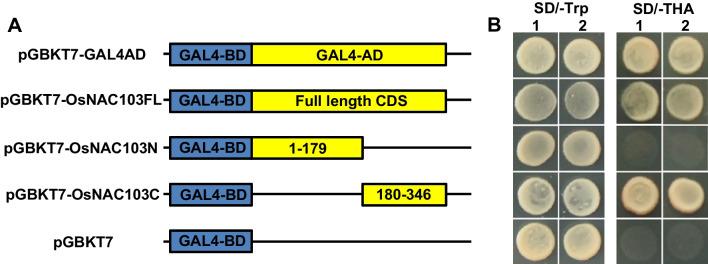 https://cdn.ncbi.nlm.nih.gov/pmc/blobs/872d/10869678/2d99612fbbce/12284_2024_690_Fig2_HTML.jpg
