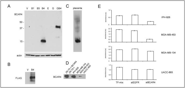https://cdn.ncbi.nlm.nih.gov/pmc/blobs/872d/4552740/47f3314207c4/pone.0136845.g003.jpg