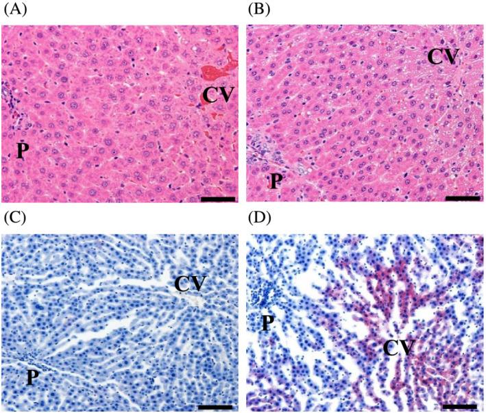 https://cdn.ncbi.nlm.nih.gov/pmc/blobs/872d/9546090/aa35b9485594/JAT-42-1533-g003.jpg