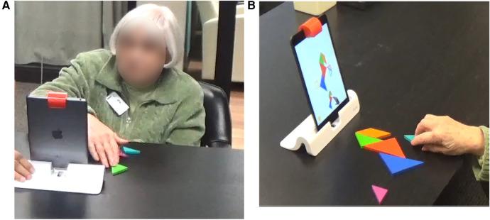 https://cdn.ncbi.nlm.nih.gov/pmc/blobs/8730/11344262/7f22010ac547/fspor-06-1419263-g003.jpg