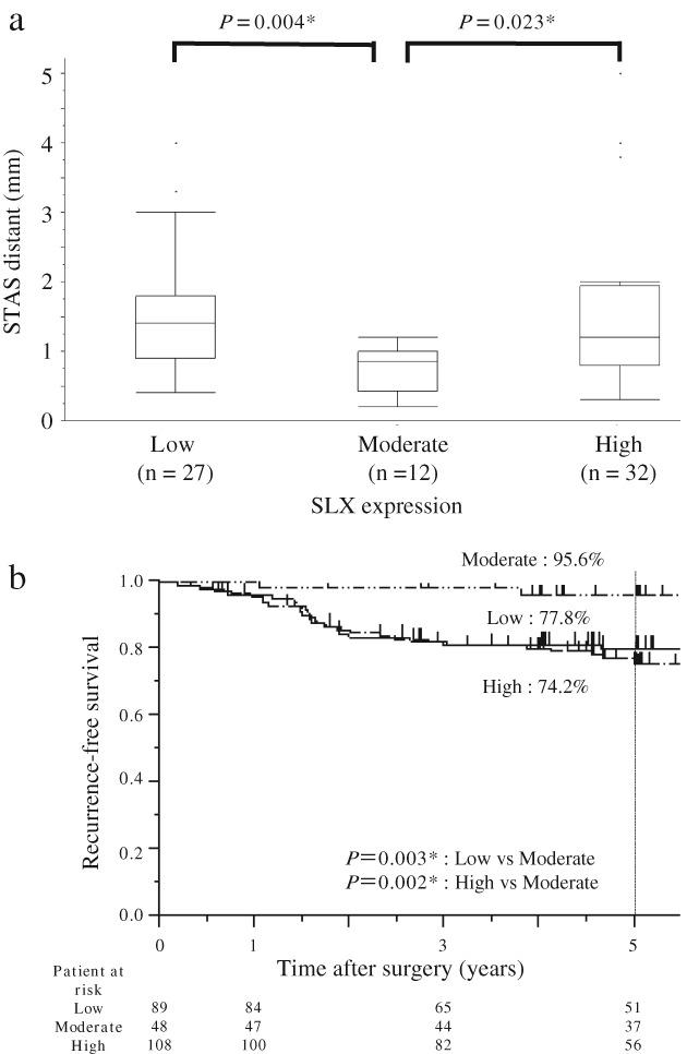 https://cdn.ncbi.nlm.nih.gov/pmc/blobs/8730/6449254/485c52a1b082/TCA-10-832-g002.jpg