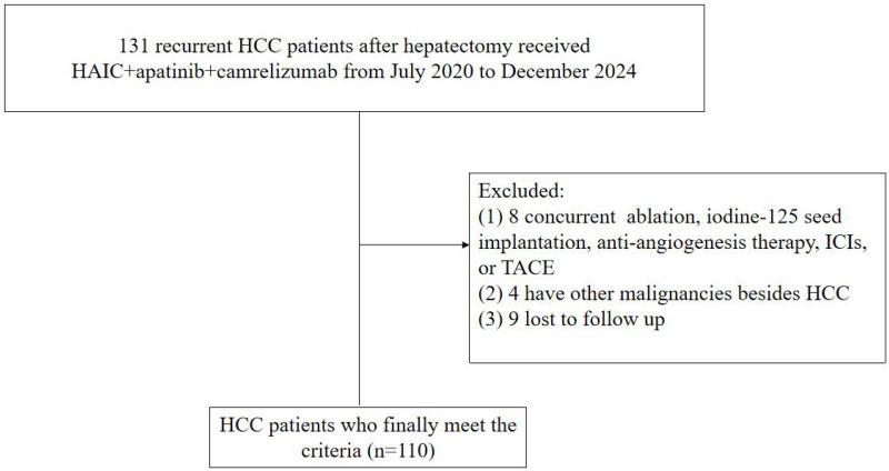 https://cdn.ncbi.nlm.nih.gov/pmc/blobs/8732/12182073/b52fcd85a2d2/JHC-12-1205-g0001.jpg