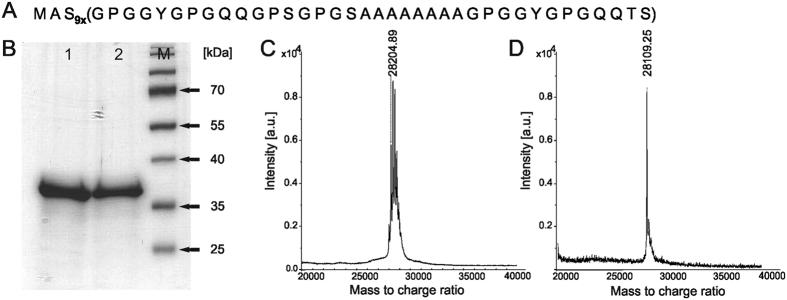 https://cdn.ncbi.nlm.nih.gov/pmc/blobs/8732/4911573/1011f3198223/srep28106-f1.jpg