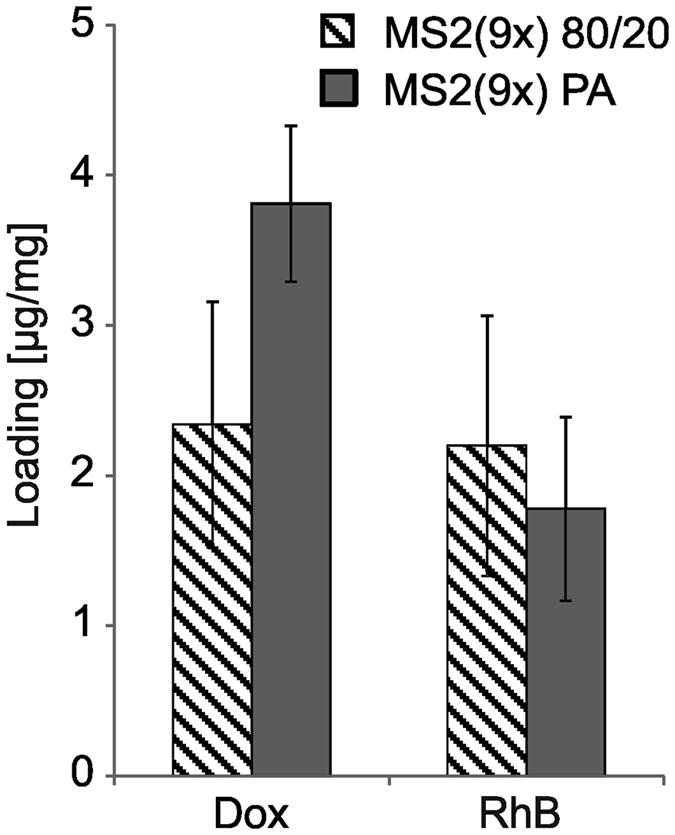 https://cdn.ncbi.nlm.nih.gov/pmc/blobs/8732/4911573/a555bae5f6a3/srep28106-f9.jpg