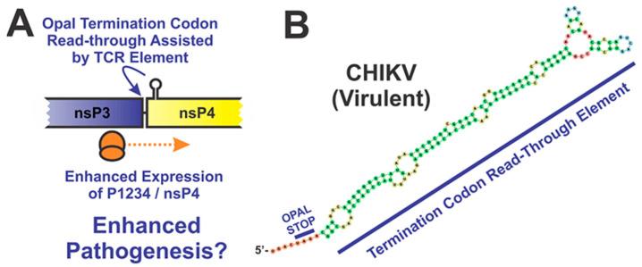 https://cdn.ncbi.nlm.nih.gov/pmc/blobs/8732/8233893/3602c85fcbe4/pathogens-10-00771-g006.jpg