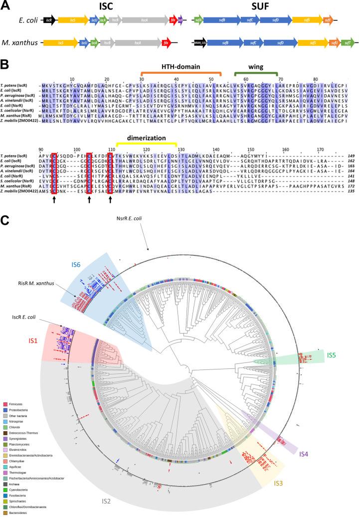 https://cdn.ncbi.nlm.nih.gov/pmc/blobs/8733/9973013/221be4de0e11/mbio.03001-22-f001.jpg