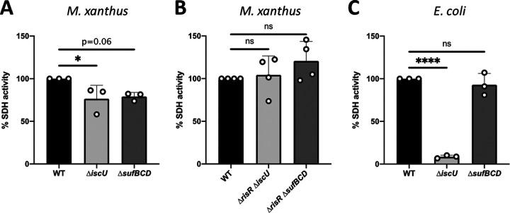 https://cdn.ncbi.nlm.nih.gov/pmc/blobs/8733/9973013/47fb06f7bfe3/mbio.03001-22-f005.jpg