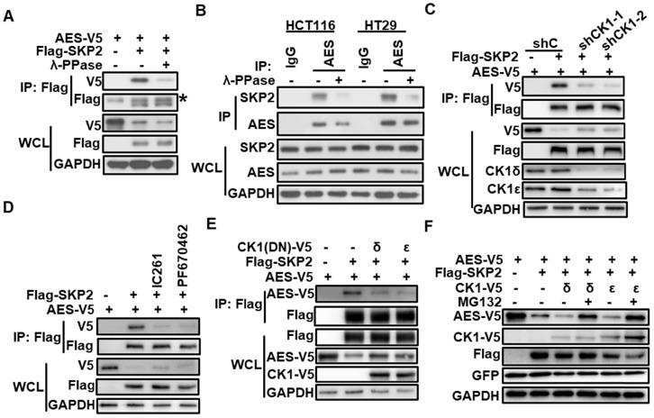 https://cdn.ncbi.nlm.nih.gov/pmc/blobs/8734/7977458/0516db9d699c/thnov11p4421g004.jpg