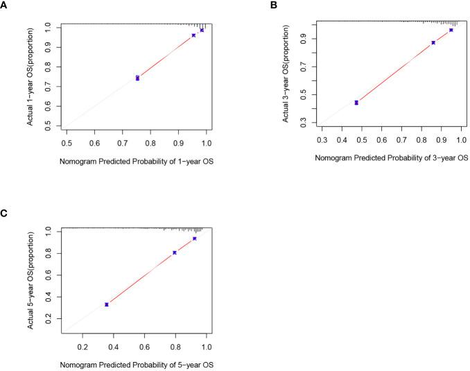https://cdn.ncbi.nlm.nih.gov/pmc/blobs/8738/10972961/b15bc56453ac/fonc-14-1330344-g004.jpg
