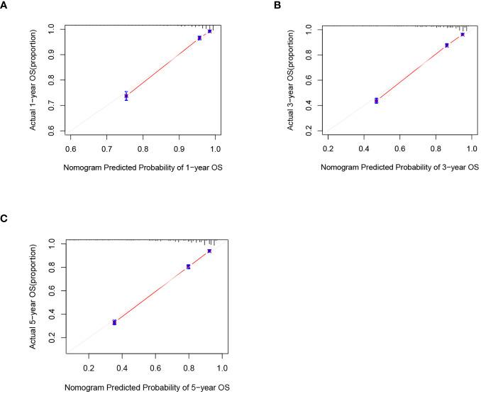 https://cdn.ncbi.nlm.nih.gov/pmc/blobs/8738/10972961/fa2f885660b1/fonc-14-1330344-g005.jpg