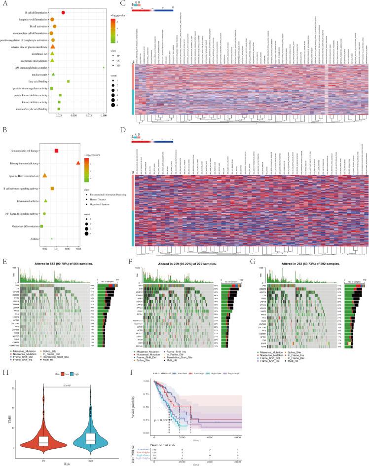 https://cdn.ncbi.nlm.nih.gov/pmc/blobs/8739/11828960/c4753d06a8fa/41598_2025_89213_Fig8_HTML.jpg