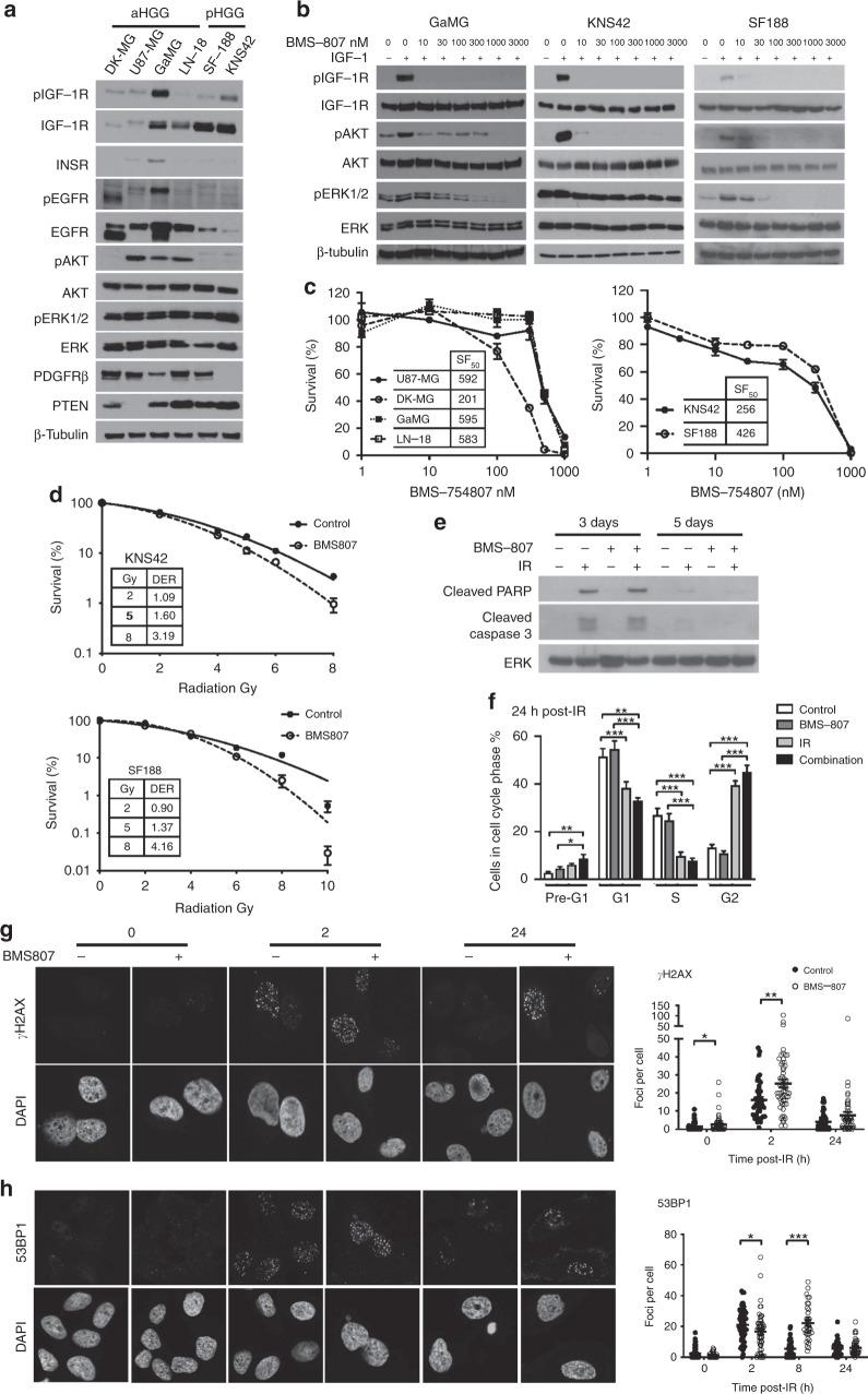 https://cdn.ncbi.nlm.nih.gov/pmc/blobs/873b/7054265/7d309ab0fcfc/41416_2019_677_Fig2_HTML.jpg
